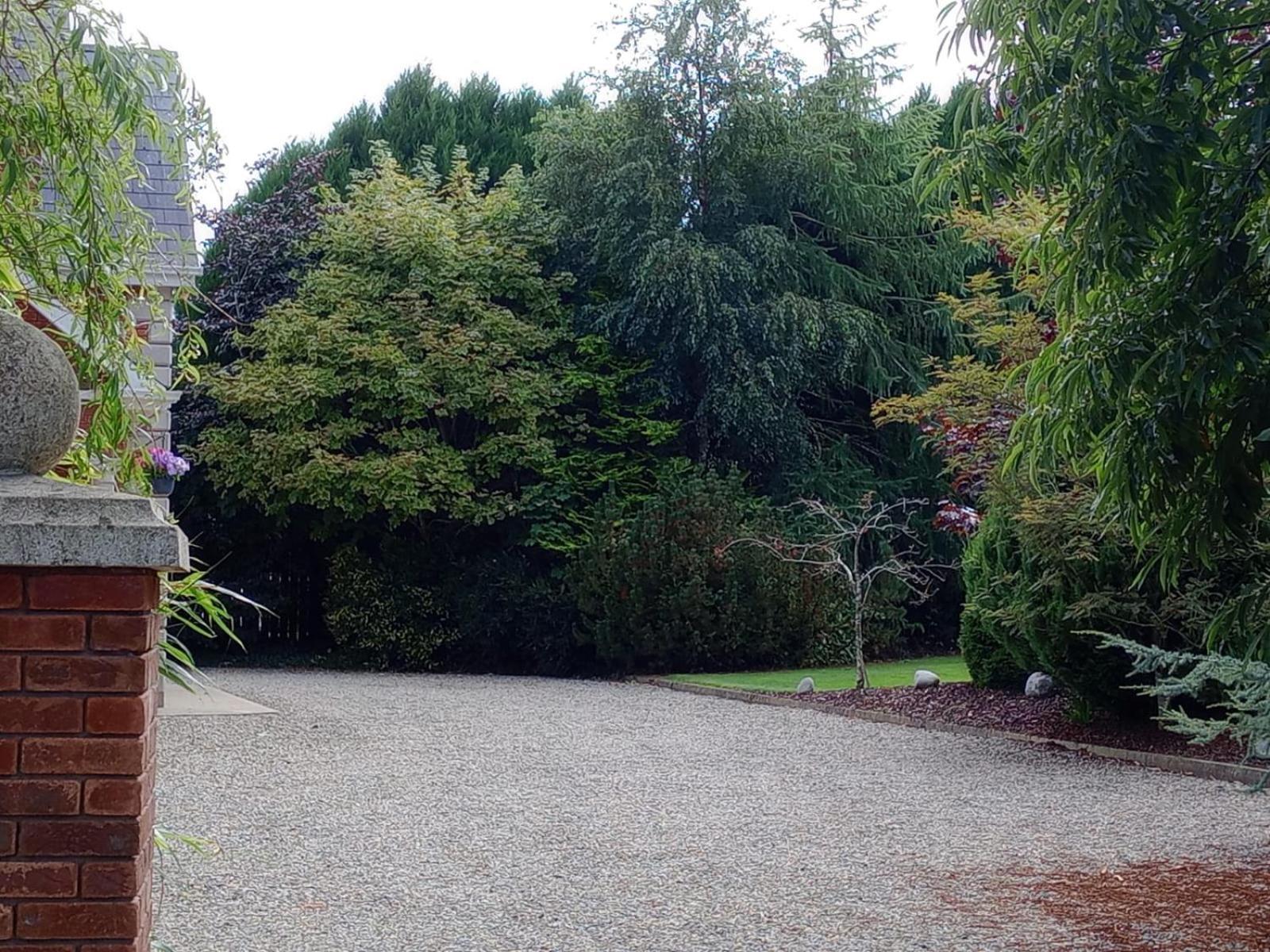 Tullynacrunat Lodge Castleblayney Zewnętrze zdjęcie